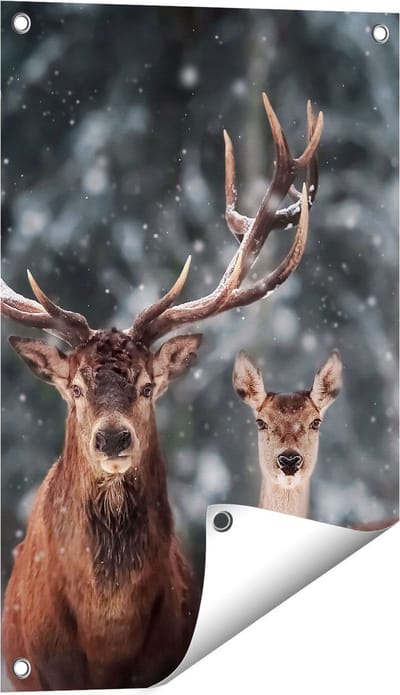 Gards Tuinposter Twee Herten met Sneeuw - 40x60 cm - Tuindoek - Tuindecoratie - Wanddecoratie buiten - Tuinschilderij
