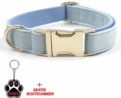 SilverAndCoco® - Licht Blauwe Honden Halsband met Gratis Sleutelhanger | Velvet Hond Puppy Bandje | Hondenhalsband Suède Gouden | Kleding Decoratie | Hondenbandje Huisdier - Blauw / Goud