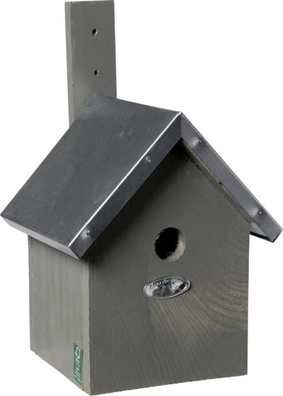 Houten pimpelmeeskast. Grijs.