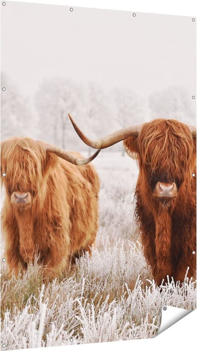 Gards Tuinposter Twee Schotse Hooglander Koeien in de Wei - 120x180 cm - Tuindoek - Tuindecoratie - Wanddecoratie buiten - Tuinschilderij