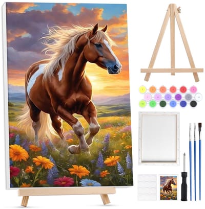 Dailygoods - Lxmsja Ingelijste verf op nummer voor volwassenen beginners, landschapsschilderen op nummer kit voor volwassenen canvas kits, eenvoudige doe-het-zelf acryl tekening schilderij kit cadeau voor thuis