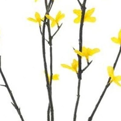 Erutan avon - Forsythia spray Halle yellow 86 cm