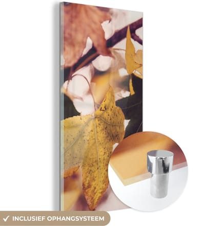 MuchoWow® Glasschilderij 20x40 cm - Schilderij acrylglas - Bladeren - Esdoorn - Herfst - Seizoenen - Foto op glas - Schilderijen