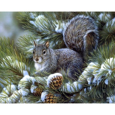 Diamantborduurwerk Eekhoorns Eten Fruit Sneeuw Diamantschilderij Kruissteek Dierenschilderij 20X30CM gray
