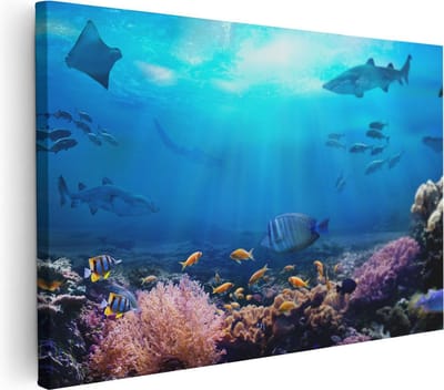 Artaza Canvas Schilderij Koraalrif - 30x20 cm - Klein - Wanddecoratie Onderwaterwereld - Muurdecoratie Haai - Schilderijen Op Canvas Zee