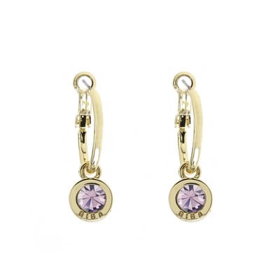 Biba Oorhangers Goud met gekleurde steen Groot Lt. Amethyst