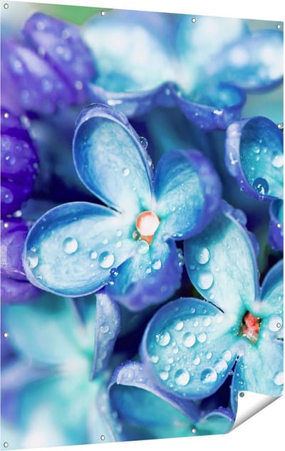 Gards Tuinposter Blauwe Lila Bloemen - Seringen - 120x160 cm - Tuindoek - Tuindecoratie - Wanddecoratie buiten - Tuinschilderij