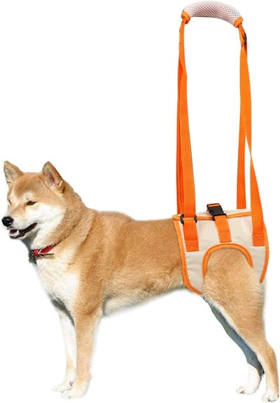 Hondenlift Harnas - Achterste Ondersteuningshulp - voor Oudere Honden met Slechte Stabiliteit - Heup- en Achterpootblessures, Artrose - ACL Revalidatie - oranje kleur - s