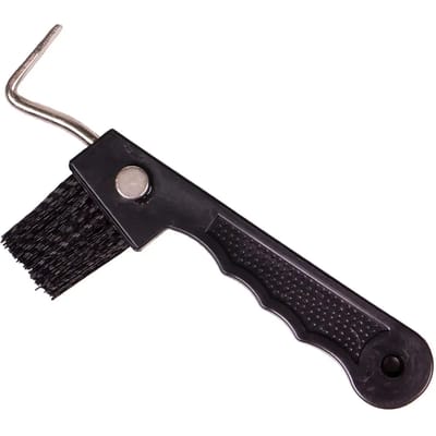 Hoefstok met magneet voor paarden QHP (x10)