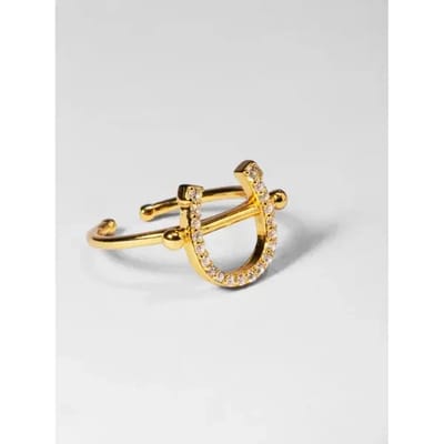 Bague in het ijzer met gaatjes PS of Sweden