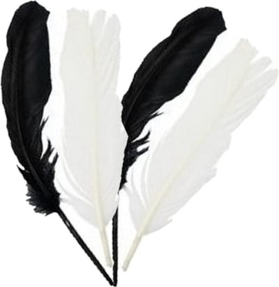 Iindianenveren/sierveren - 30x stuks - zwart/wit - 16 cm - Decoratie veertjes/veren