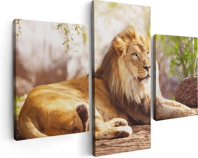 Artaza Canvas Schilderij Drieluik Leeuw - 90x60 - Foto Op Canvas - Canvas Print