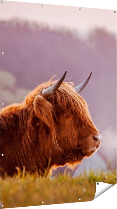 Gards Tuinposter Schotse Hooglander Koe Ligt in het Gras - 120x180 cm - Tuindoek - Tuindecoratie - Wanddecoratie buiten - Tuinschilderij