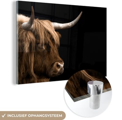 MuchoWow® Glasschilderij 60x40 cm - Schilderij acrylglas - Schotse Hooglander - Dieren - Koe - Foto op glas - Schilderijen