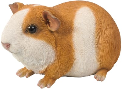 HotAnt Tuinbeeld dieren - Cavia donker bruin - 23 cm lang - Polystone - Voor buiten - Tuin decoratie - Cadeau