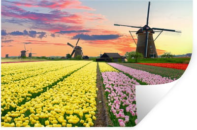Muurstickers - Sticker Folie - Tulpen - Windmolen - Natuur - 30x20 cm - Plakfolie - Muurstickers Kinderkamer - Zelfklevend Behang - Zelfklevend behangpapier - Stickerfolie