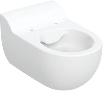 GeberitBambinikinder wandcloset diepspoel rimfree33.5x53x34.5cmwit
