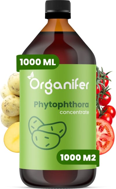 Phytophthora Concentraat 1L - Voor 1000m2 - Aardappelziekte Bestrijding - Voorkomt en geneest Aardappelplanten en Tomatenplanten - Organifer