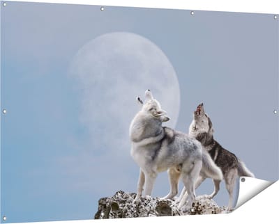Gards Tuinposter Twee Wolven Die Huilen tijdens Volle Maan - 150x100 cm - Tuindoek - Tuindecoratie - Wanddecoratie buiten - Tuinschilderij