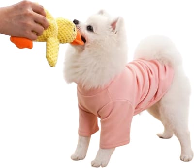 Rustgevende Eend voor uw Hond Small - Hondenknuffel - Knuffel - Rustgevend Speelgoed - Kalmerend voor drukke Honden - Relax - Ontspanning voor uw huisdier - Eendenknuffel - Middel/Kleine honden