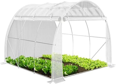 Winterbestendige foliekas 3x2m voor groenten en planten