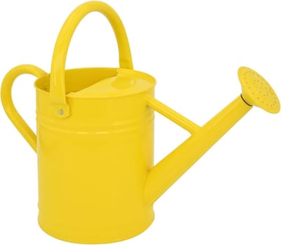 Metalen Gieter - Tuin Gieter - Planten Water Geven - Verwijderbare Tuit - 1 Gallon - Geel