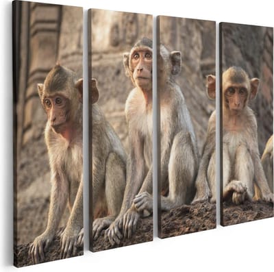 Artaza Canvas Schilderij Vierluik Drie Kleine Apen Naast Elkaar - 80x60 - Foto Op Canvas - Canvas Print