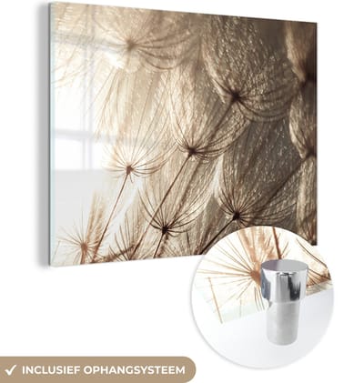 MuchoWow® Glasschilderij 160x120 cm - Schilderij acrylglas - Bloemen - Planten - Winter - Sepia - Sneeuw - Foto op glas - Schilderijen