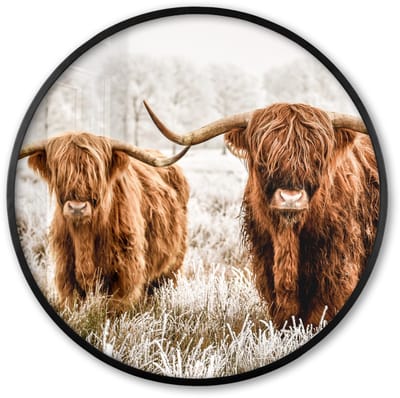 Poster in lijst Rond - Fotolijst 60x60 cm - Posters - Schotse hooglander - Koe - Natuur - Winter - Ronde posterlijst zwart - Decoratie - Wanddecoratie woonkamer - Muurdecoratie slaapkamer