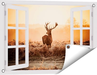 Gards Tuinposter Doorkijk Hert in de Wei tijdens de Zonsopkomst - 60x40 cm - Tuindoek - Tuindecoratie - Wanddecoratie buiten - Tuinschilderij