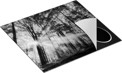 Chefcare Inductie Beschermer Bos met Zon tussen de Hoge Bomen - Zwart Wit - 60x50 cm - Afdekplaat Inductie - Kookplaat Beschermer - Inductie Mat