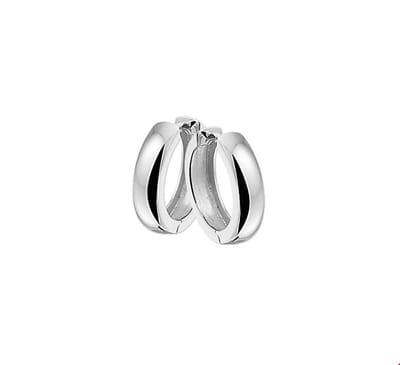 The Jewelry Collection klap-oorringen Bol - Zilver Gerhodineerd