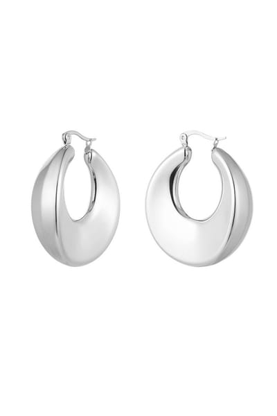Oorbellen Shiny rond - kleur zilver - stainless steel - waterproof - luxe earrings - cadeau - mam - dochter