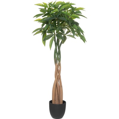 Eazy Living Kunstplant Pachira H120 cm
