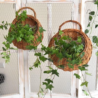 Dailygoods- Plantenmand Rieten - Wandgemonteerde Bloemenmand - Rotan Muurmand - Waterdicht Membraan - Binnen/Buiten Decoratie - 26 × 20 cm