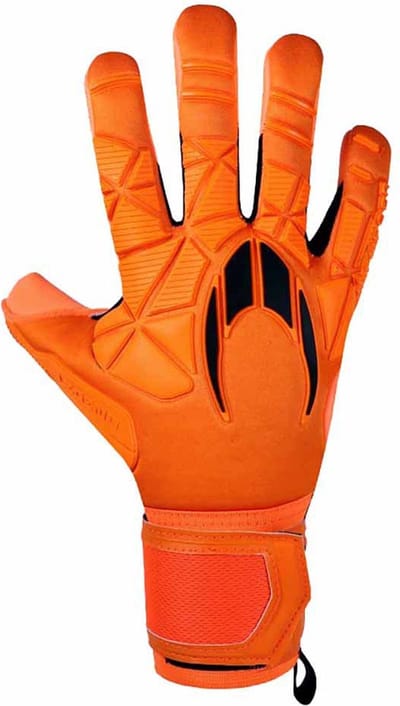Ho Soccer Ssg Legend Ergo Gecko Keepershandschoenen Oranje 7