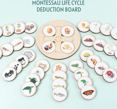 Levenscycles Spel met 10 soorten cycles - Montessori-Educatief bord spel - kinderspeelgoed