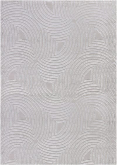 Flycarpets Cara Modern Japandi Duna Vloerkleed - Zilver - 120x170 cm