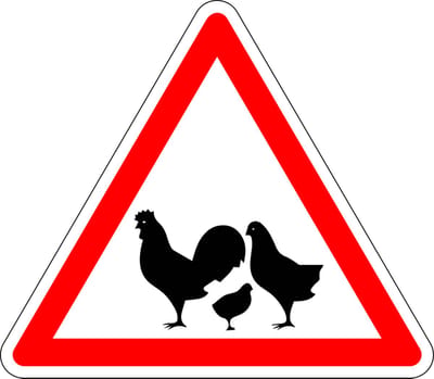 Pas op voor kippen sticker 100 mm