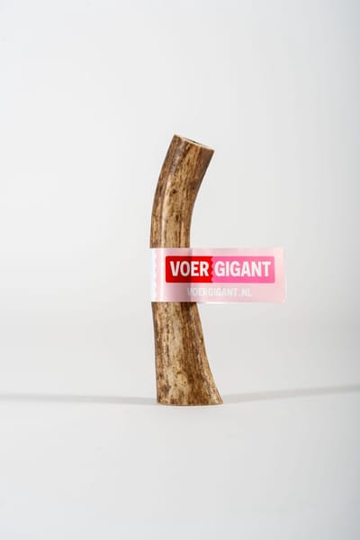 Voergigant - Hertengewei - 151-225 g
