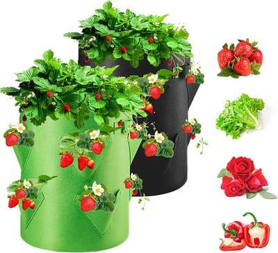 Famanu - Groeizakken voor aardbeien, 2 stuks, 40 l/10 gallon, groentezak, vliesstof, plantenzak met venster, tuingroentezak