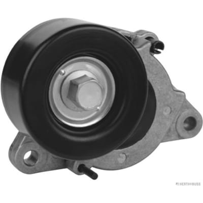 Herth+Buss Elparts Riemspanner, Poly V-riem HERTH+BUSS JAKOPARTS J1141051
