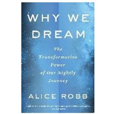 Why We Dream - Robb Alice Robb