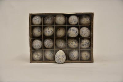 Decoratie Eieren - Doos Kwarteleieren Wit - 60 Stuks