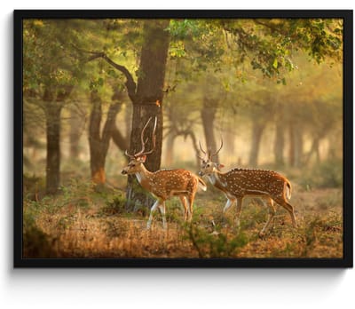 Poster in lijst - Fotolijst 70x50 cm - Posters - Herten - Bos - Herfst - Bosdieren - Natuur - Hert - Posterlijst zwart - Decoratie - Wanddecoratie woonkamer - Muurdecoratie slaapkamer