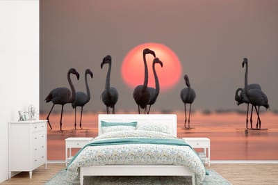 Behang - Fotobehang Vogel - Flamingo - Zonsondergang - Roze - Breedte 330 cm x hoogte 220 cm