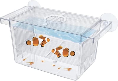 Aquarium Kweekbox van Acryl voor Jonge Vissen, Garnalen en Guppy's met Zuignappen en Isolatie