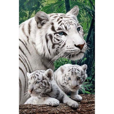 5D DIY Diamond Painting Drie tijgers Borduren Kruissteek Strass Mozaïek Home Decor 20X30CM gray