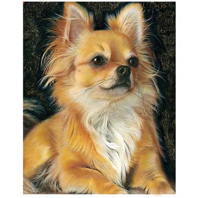 5D Diamond Painting Diy Hond Diamant Borduurwerk Dieren Mozaïek Kits Kruissteek 20x30