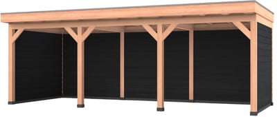 Douglas overkapping, 750 x 300, met zwarte achterwand en zijwand, Westwood Comfort Premium